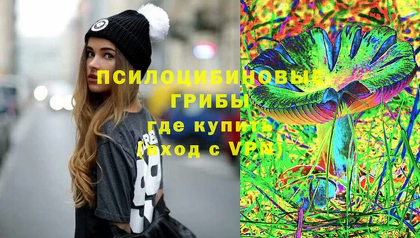 твердый Арсеньев