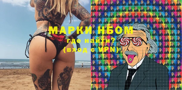 твердый Арсеньев