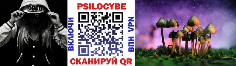 kraken вход  Меленки  Галлюциногенные грибы Cubensis 